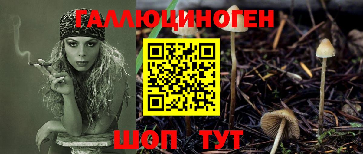 Псилоцибиновые грибы Magic Shrooms  Вход с VPN  Рузаевка  Псилоцибиновые грибы Magic Shrooms 